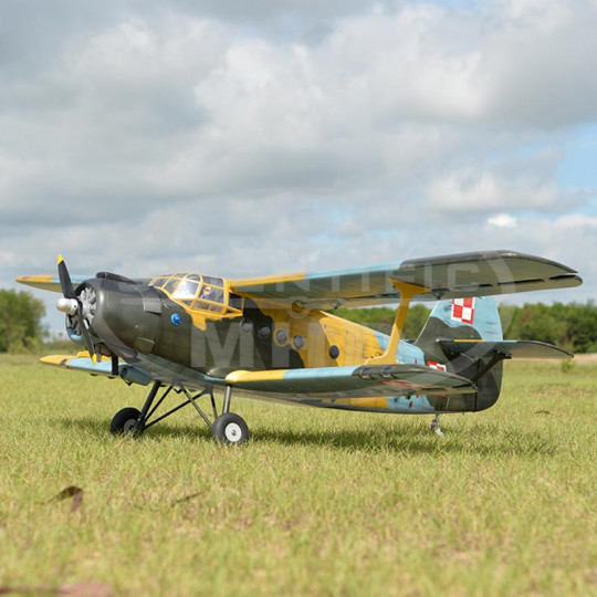 Aereo radiocomandato a...