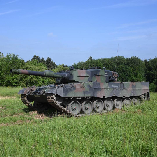 Modello plastique de char...