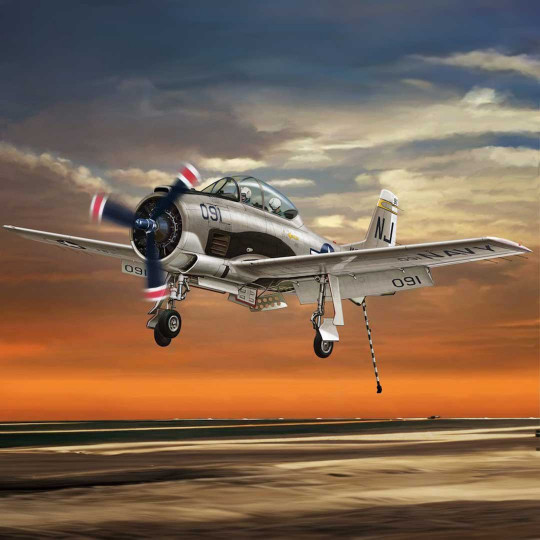 Maquette d'avion en...