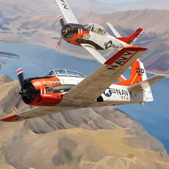 Maquette plastique avion...