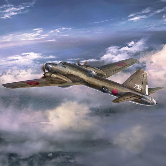 Modello plastique d’aereo...