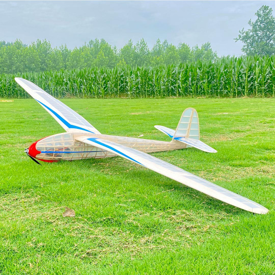 Planeur radiocommandé...