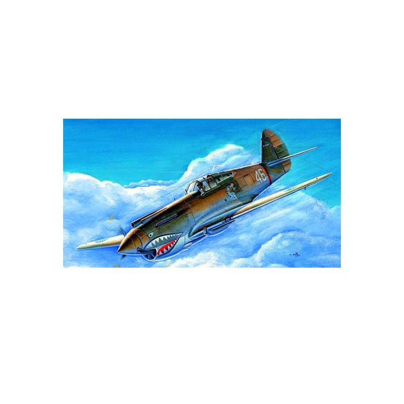 Maquette d'avion en plastique P-40B/C "WARHAWK"