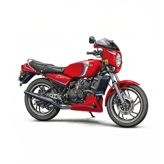 Maquette plastica della...