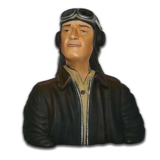 Accessorio integrato Pilota...