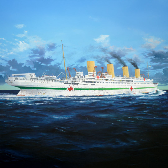 Modello di nave in plastica...