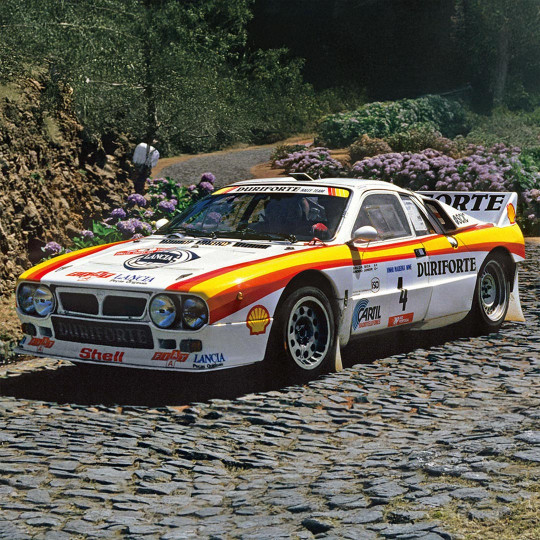 Modello in plastica...