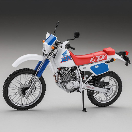 Modello in plastica della...