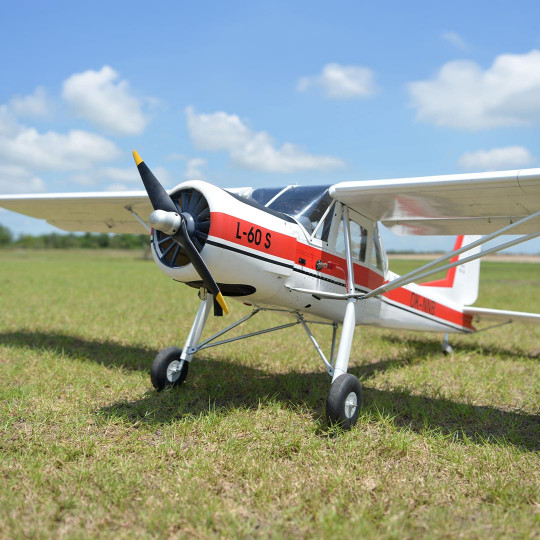 Aereo radiocomandato a...