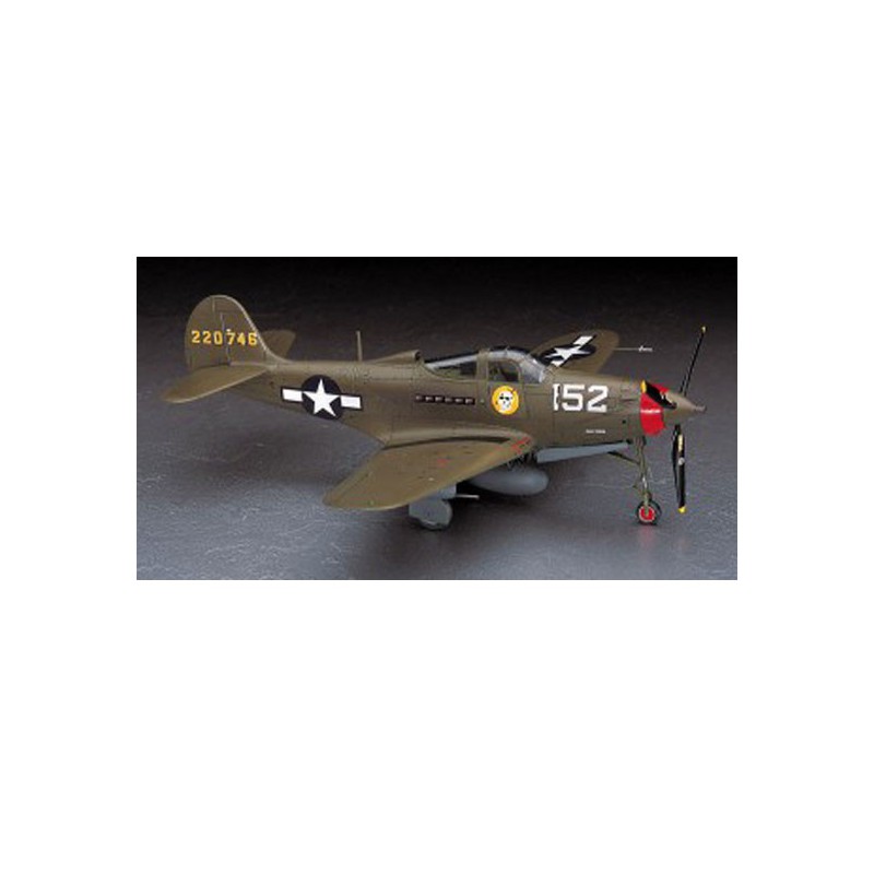 Maquette d'avion en plastique P-39Q/N AIRACOBRA 1/48
