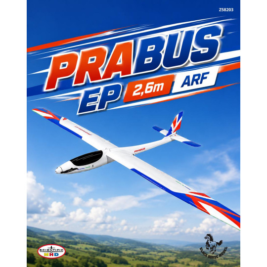Planeur radiocomandato...