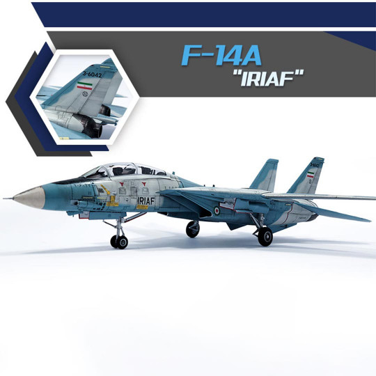 Modello d'aereo F-14A IRIAF...