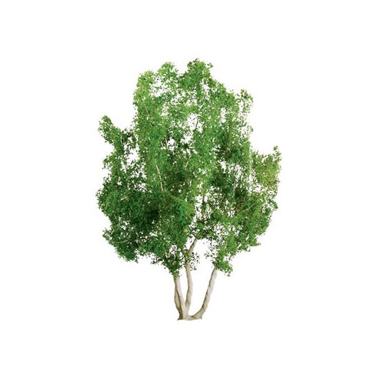 Arbre GOMMIERS 75mm ECHELLE HO