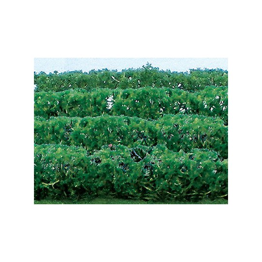 Plans de fleurs HAIE DE PLANTES VERTES 125x9x15mm - ECHELLE HO