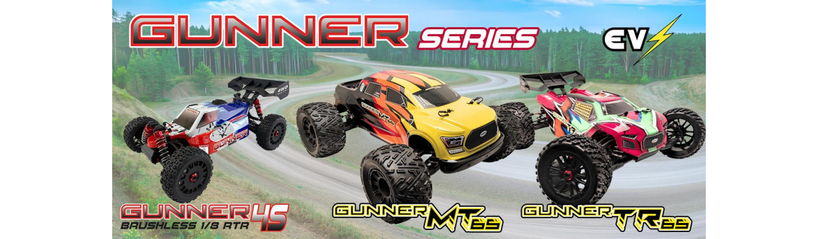 Voiture telecomandata elettrica o a scoppio