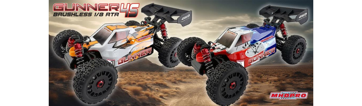 Voiture telecomandata ad alte prestazioni per adulti RC