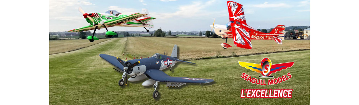 Aviazione radiocomandata elettrica e a scoppio